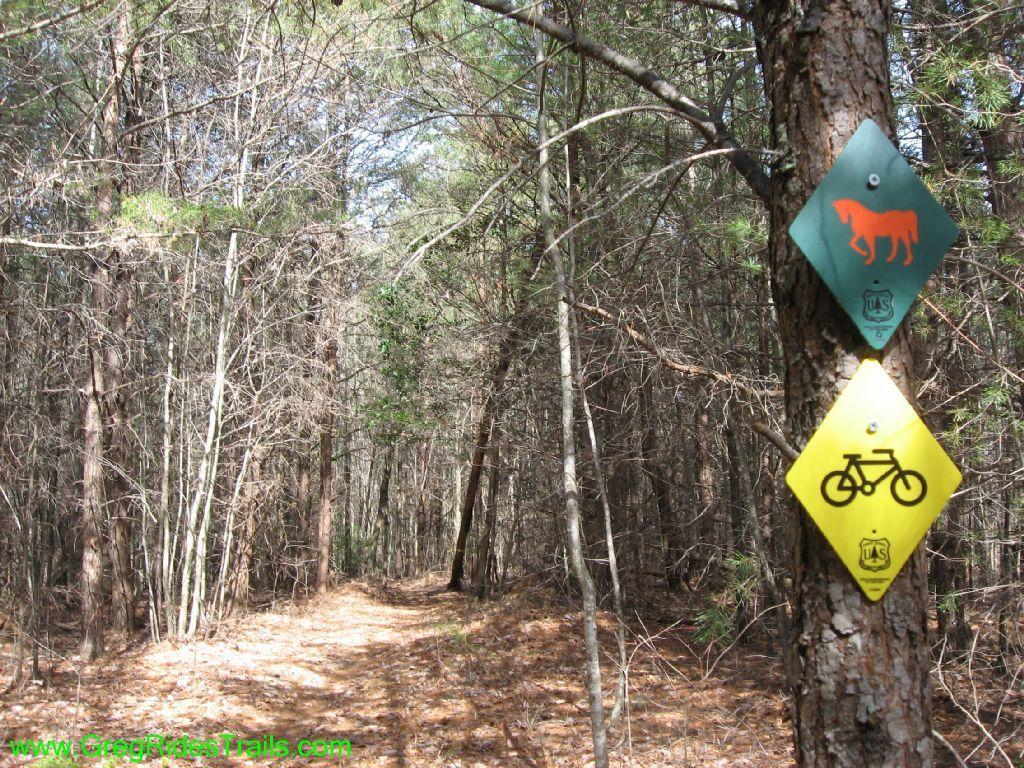A forest trail sign indicating areas for horseback riding and biking. The signs feature a green diamond with a horse silhouette and a yellow diamond with a bicycle icon, both mounted on a tree. The surrounding area shows a wooded path with scattered pine needles and trees, characteristic of a natural forest environment. Jake Mountain Trails mountain bike trail.