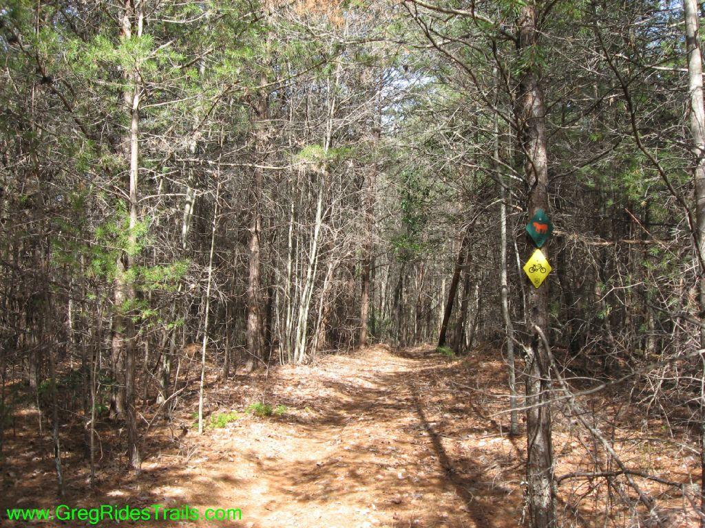 A narrow dirt trail winding through a dense forest, with trees on either side. Two trail markers are visible on the right; one indicates wildlife (a deer), and the other is for bicycle access. The forest floor is covered with pine needles and leaves, suggesting a natural and serene outdoor setting. Jake Mountain Trails mountain bike trail.