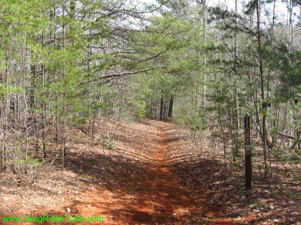 Jake Mountain Trails mountain bike trail.