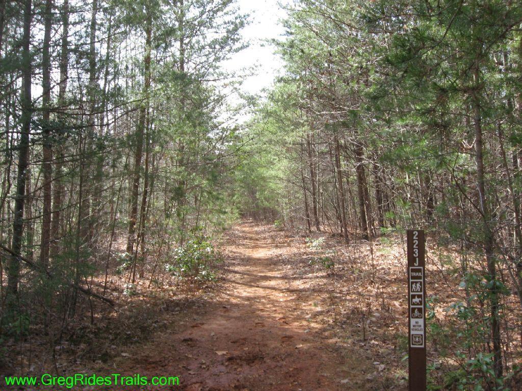 A dirt path leading through a dense forest, lined with tall trees on both sides. A trail marker post is visible on the right, indicating trail number 223J, with symbols for hiking, horseback riding, and biking. The ground is covered with fallen leaves and the sunlight filters through the tree canopy. Jake Mountain Trails mountain bike trail.