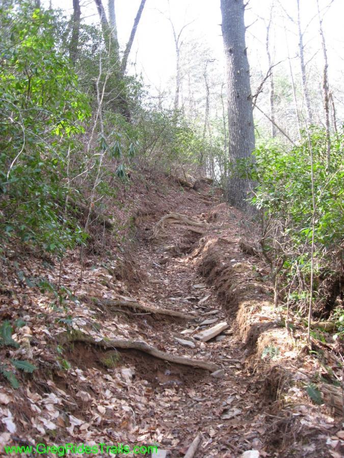 A narrow hiking trail winding through a wooded area, featuring exposed soil, rocks, and wooden step materials. Surrounding vegetation includes leafy bushes and trees, with dappled sunlight filtering through the branches. The trail appears to ascend, creating a rugged and natural outdoor path. Jake Mountain Trails mountain bike trail.