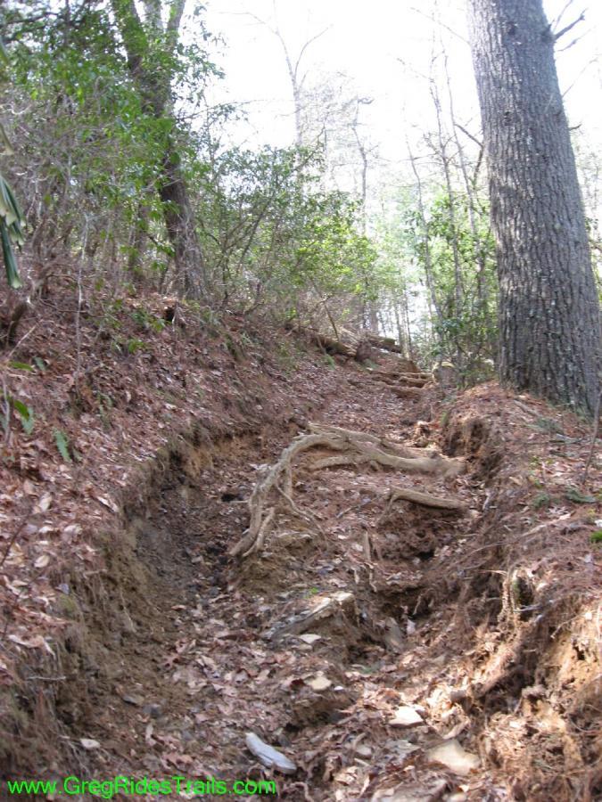 A narrow, dirt hiking trail winds through a wooded area, with tall trees on either side and patches of sunlight filtering through the leaves. The ground is uneven, with exposed roots and a layer of fallen leaves and soil. Jake Mountain Trails mountain bike trail.