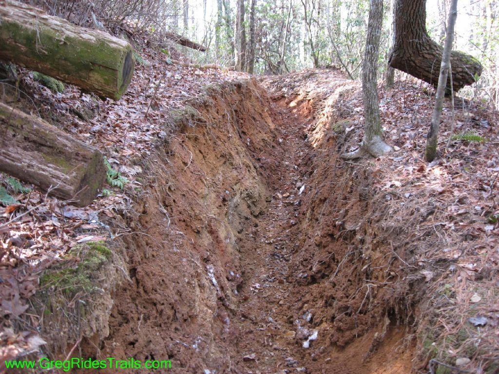 An earthen trail cut through a wooded area, showing a narrow, deep channel with exposed soil and leaf litter on either side. Fallen logs are visible on the left side, and several trees surround the area, suggesting a natural outdoor setting. Jake Mountain Trails mountain bike trail.