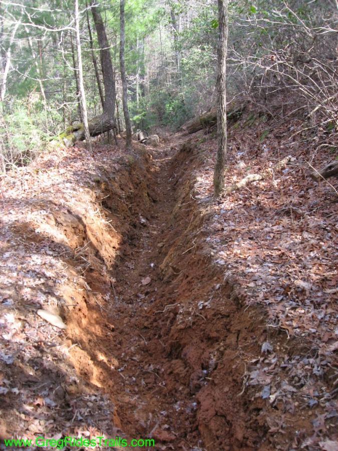 A narrow, freshly dug trench runs through a wooded area, flanked by trees and scattered dry leaves on the ground, suggesting recent excavation in a natural setting. Jake Mountain Trails mountain bike trail.