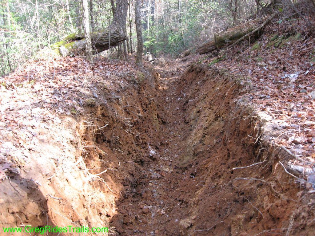 A narrow trail cut into the earth, lined with exposed soil and surrounded by trees and fallen leaves, in a wooded area. Jake Mountain Trails mountain bike trail.