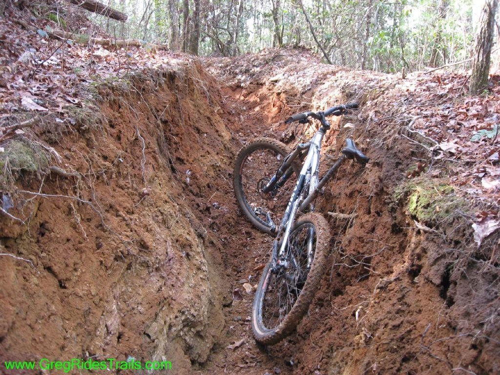 A muddy mountain bike lying in a deep rut on a forest trail, surrounded by leaf-covered ground and trees in the background. Jake Mountain Trails mountain bike trail.