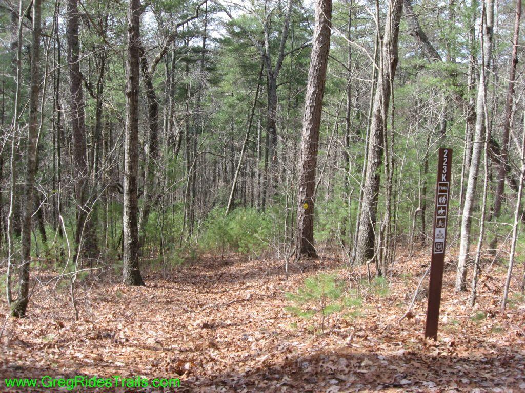 A wooded trail view showing tall, slender trees, with patches of new green growth and a carpet of fallen leaves. A signpost on the right indicates the trail number and includes symbols for hiking and biking. The scene captures a serene natural environment, suggesting an outdoor recreation area. Jake Mountain Trails mountain bike trail.