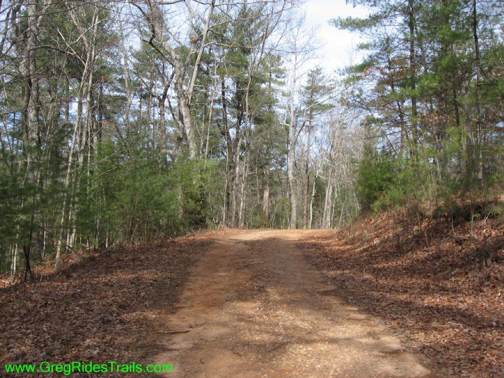 A dirt trail meanders through a wooded area, surrounded by trees with sparse foliage. The path is lined with fallen leaves, and the sky is partially cloudy, suggesting early spring or autumn. Jake Mountain Trails mountain bike trail.
