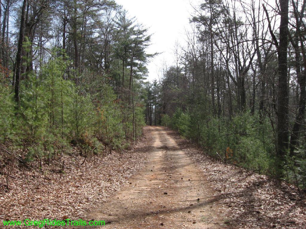 A dirt path winding through a wooded area, lined with trees and shrubs. The ground is covered with fallen leaves, creating a natural trail. The scene is well-lit, suggesting a clear day, and the tree canopy is a mix of bare branches and greenery. Jake Mountain Trails mountain bike trail.