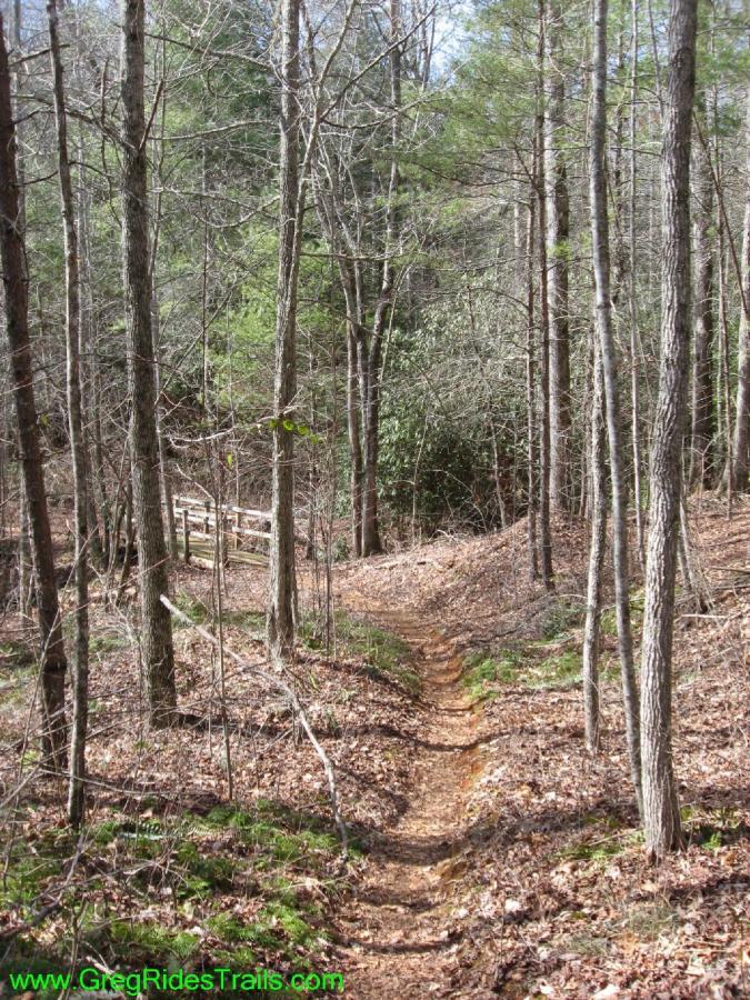 A narrow dirt trail winding through a wooded area with bare trees and patches of green foliage. In the background, a wooden bridge can be seen crossing a small clearing. Fallen leaves cover the ground, and the scene is illuminated by soft natural light, suggesting a peaceful outdoor environment suitable for hiking or exploring. Turner Creek Trail mountain bike trail.