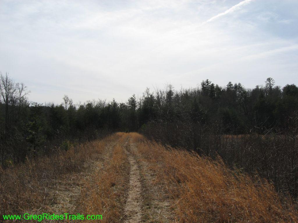 A winding dirt trail bordered by tall grasses leads into a wooded area, under a cloudy sky. The scene captures the peacefulness of nature with a mixture of sparse trees and open land. Jones Creek Ridge Trail mountain bike trail.