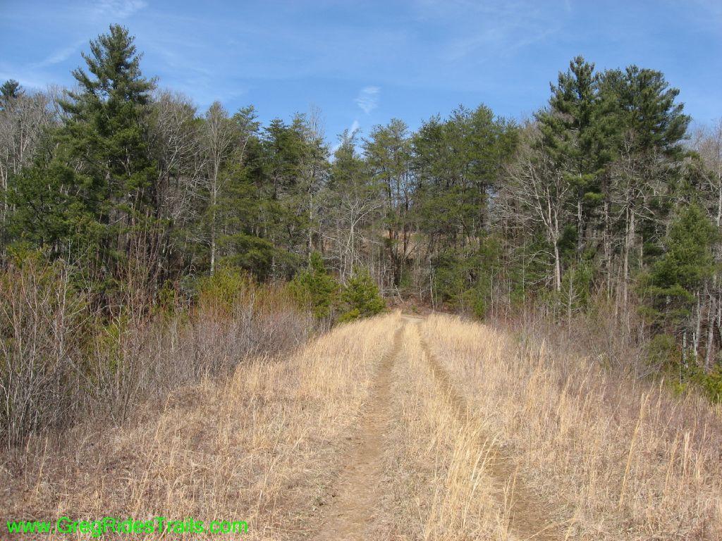 A dirt path winding through an open area surrounded by trees, with a mix of grassy and barren patches. The scene is set under a clear blue sky, showcasing the natural landscape in early spring. Jones Creek Ridge Trail mountain bike trail.