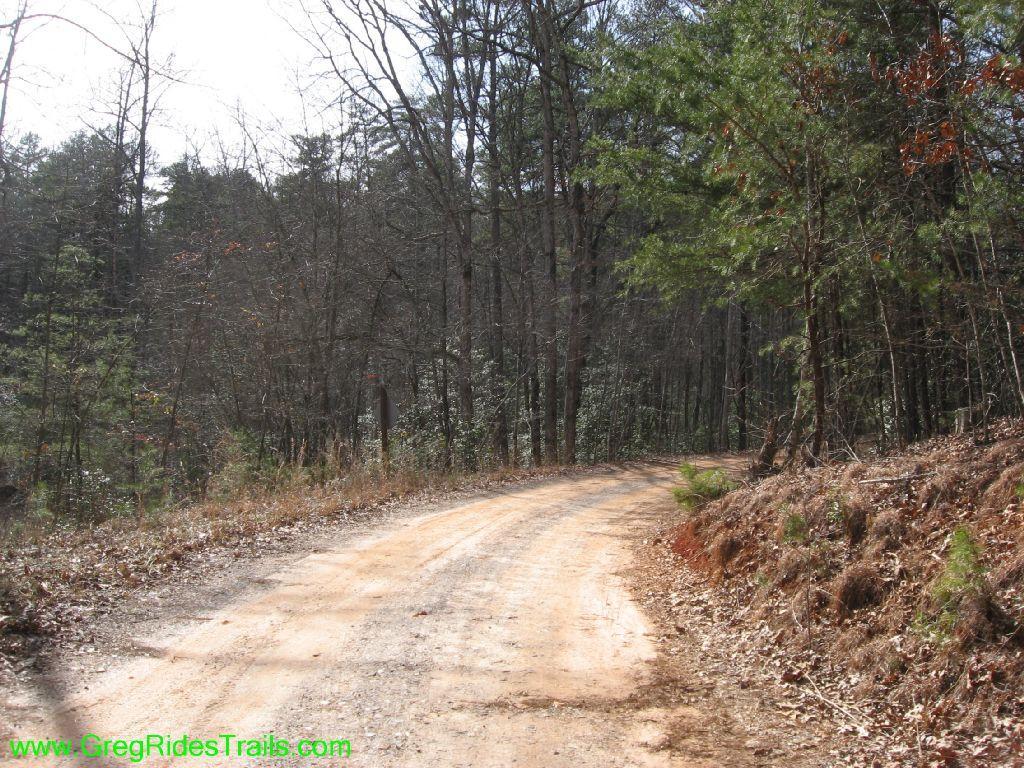 A winding dirt road surrounded by tall trees in a wooded area, with sparse foliage and sunlight filtering through the branches. The scene conveys a sense of tranquility and natural beauty. Jake to Bull Mountain Connecter mountain bike trail.