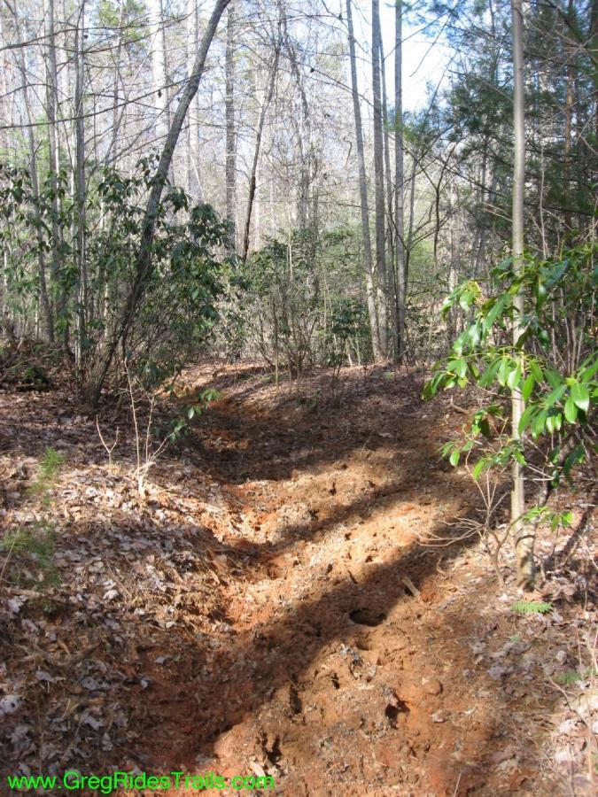 A winding trail through a wooded area, featuring exposed dirt and scattered leaves. The scene is set in a forest with tall, bare trees and lush greenery on either side, indicating early spring or late winter. Sunlight filters through the branches, casting shadows on the path. Jake to Bull Mountain Connecter mountain bike trail.