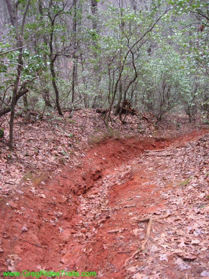 A narrow, winding path through a forest of trees and shrubs, with reddish-brown soil and scattered fallen leaves. The trail appears to be natural and somewhat rugged, marked by erosion on the sides. Turner Creek Trail mountain bike trail.