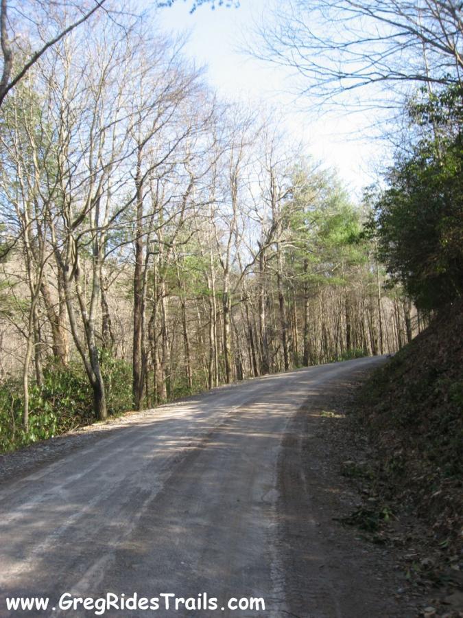 A winding gravel road surrounded by bare trees and greenery, with a clear sky overhead. The road curves gently to the right, inviting exploration into the natural landscape. Canada Creek mountain bike trail.