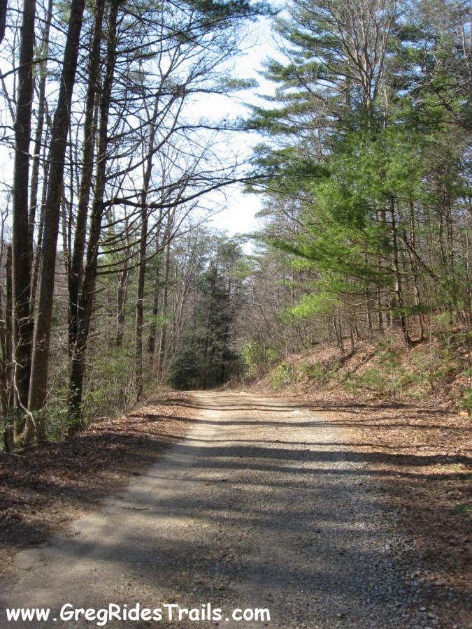 A gravel path winding through a forested area, lined with bare trees and evergreen foliage, under a clear blue sky. The ground is covered with scattered leaves, suggesting a peaceful, natural setting ideal for outdoor activities like hiking or biking. Canada Creek mountain bike trail.