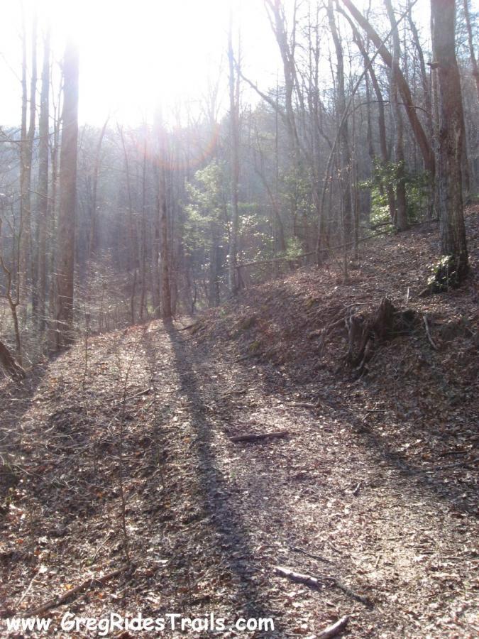Sunlight filters through trees along a winding forest path, with leaf litter scattered on the ground. The scene captures a peaceful, natural setting ideal for hiking or outdoor exploration. Canada Creek mountain bike trail.