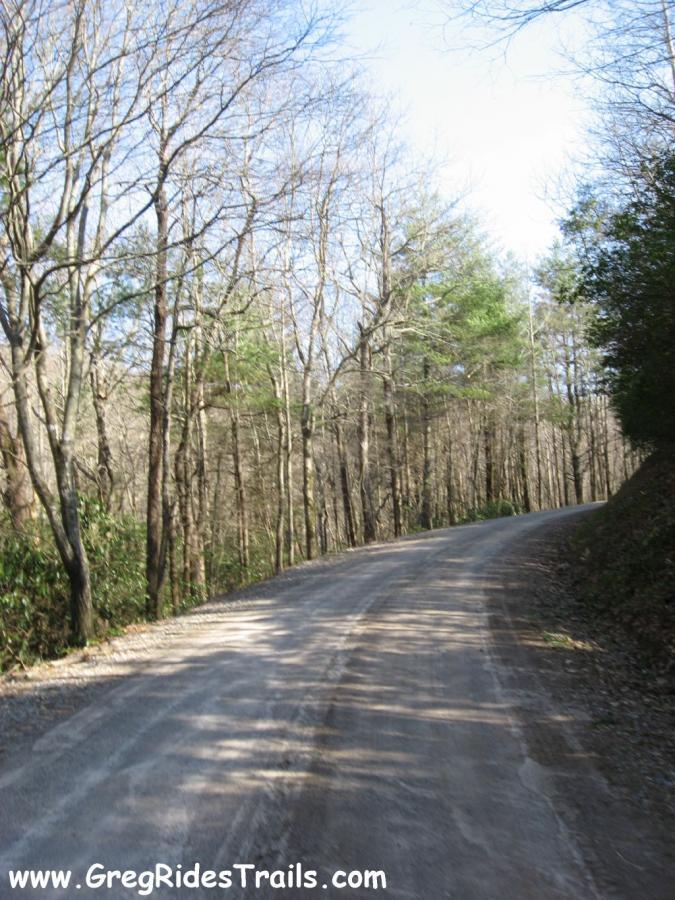 A winding, unpaved road surrounded by bare trees and green vegetation, leading into a wooded area with clear blue skies above. Canada Creek mountain bike trail.