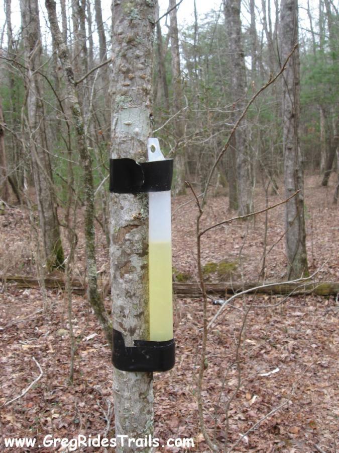 A clear cylindrical container with a yellow liquid is attached to a tree trunk using a black mounting bracket. The background features a wooded area with bare trees and fallen leaves, indicating a natural outdoor setting. Montgomery Creek Trail mountain bike trail.