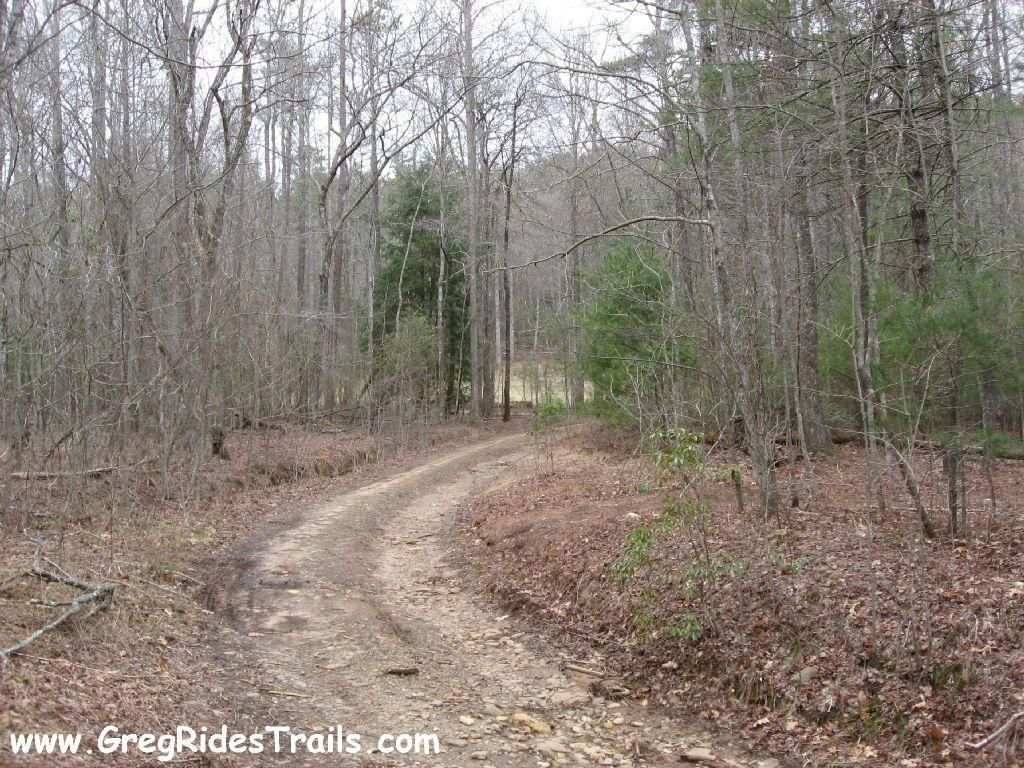 A winding dirt trail through a deciduous forest, surrounded by bare trees and patches of green foliage. The path is slightly uneven, with rocks scattered along it, leading into the distance where the trees become denser. The scene captures a serene, natural environment typical of early spring. Montgomery Creek Trail mountain bike trail.