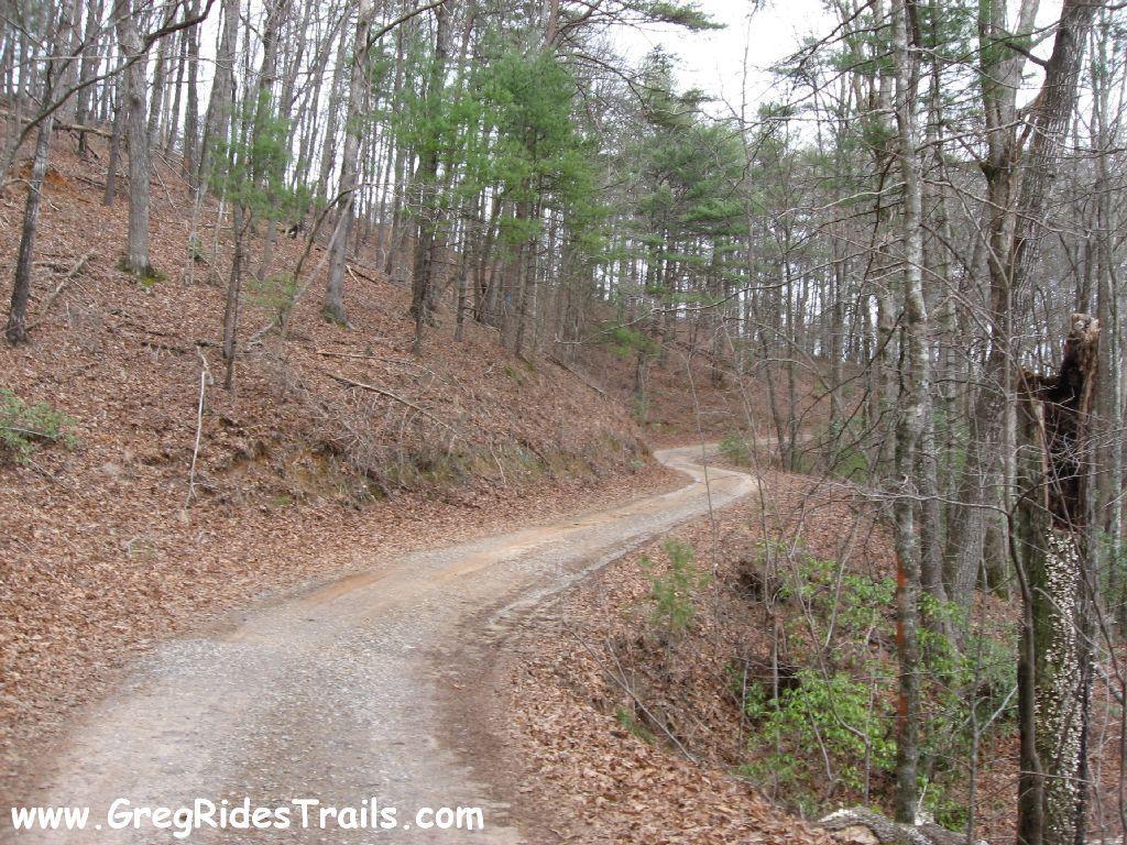 A winding gravel path surrounded by trees and fallen leaves, leading through a wooded area with varying shades of green and brown, suggesting a serene outdoor environment. Montgomery Creek Trail mountain bike trail.