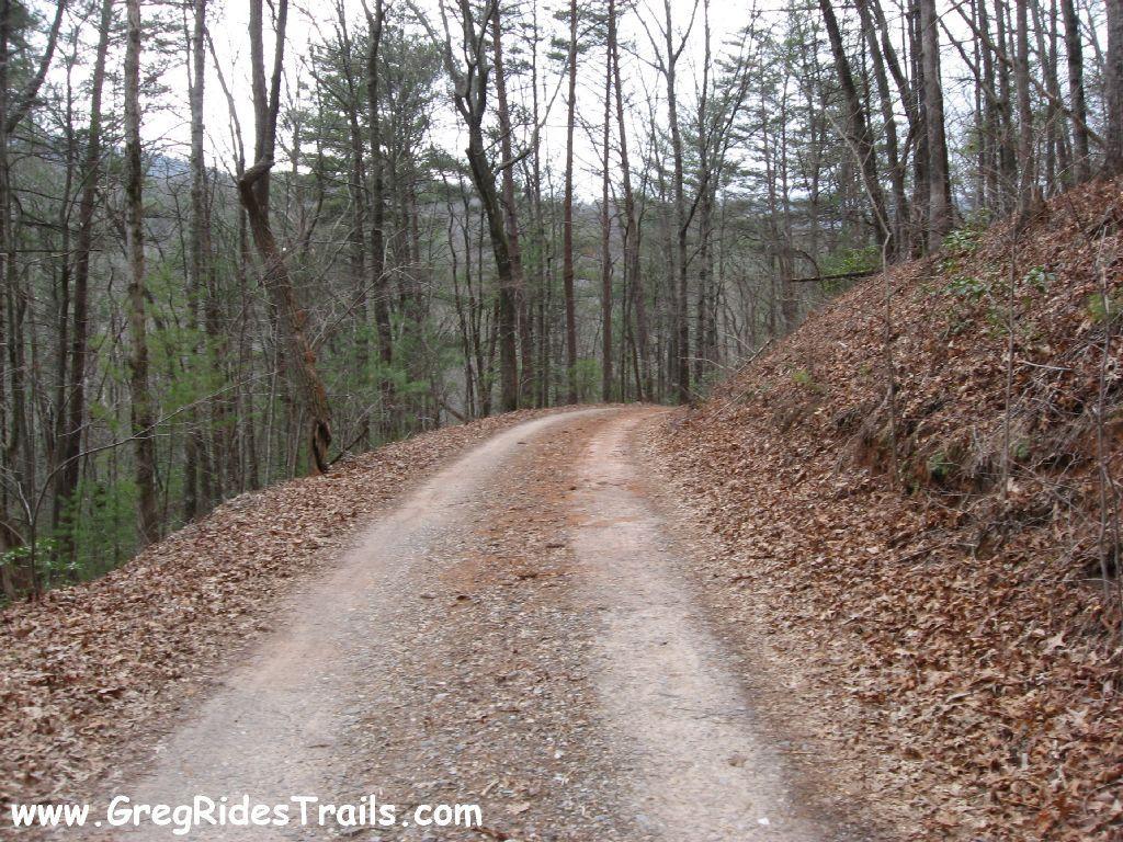 A winding dirt path through a wooded area, bordered by trees and covered in autumn leaves. The trail leads into the distance, suggesting a peaceful outdoor setting. Montgomery Creek Trail mountain bike trail.