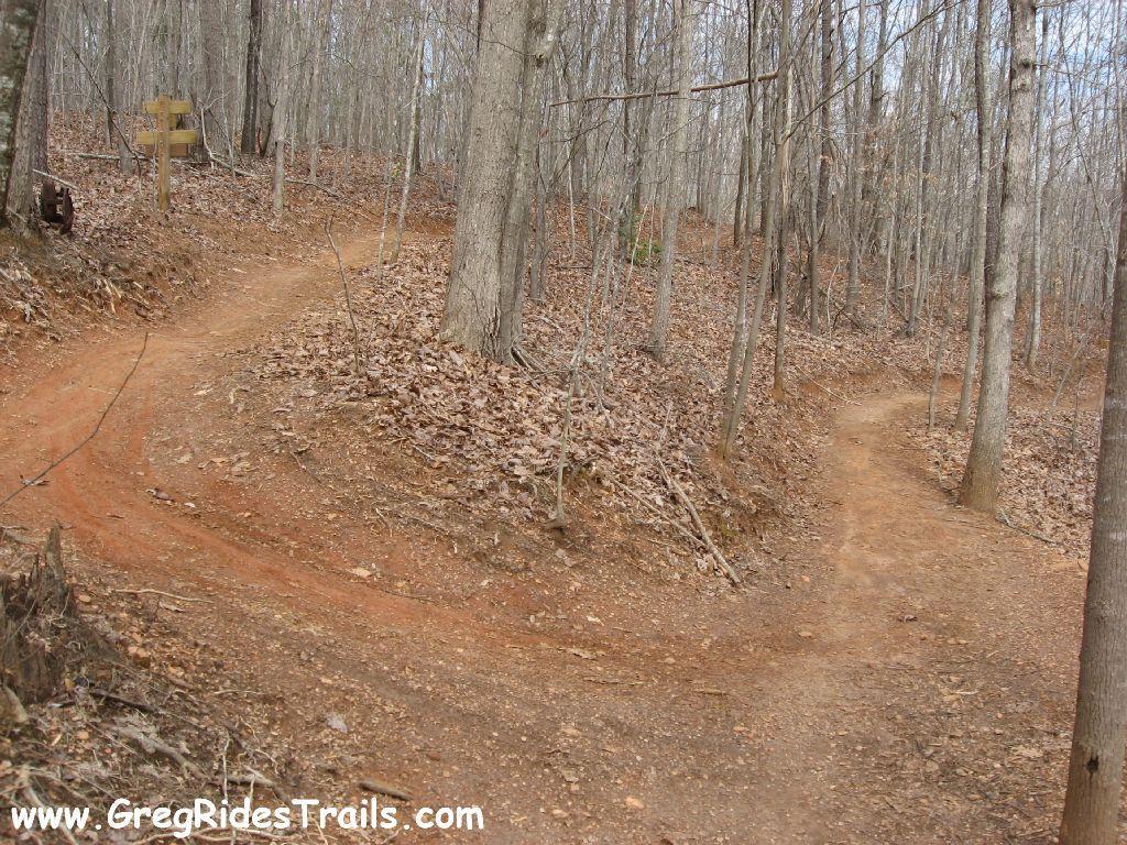 A forest trail diverging into two pathways, surrounded by bare trees and fallen leaves. A wooden signpost is visible at the intersection, indicating the directions for hikers. Chicopee Woods mountain bike trail.