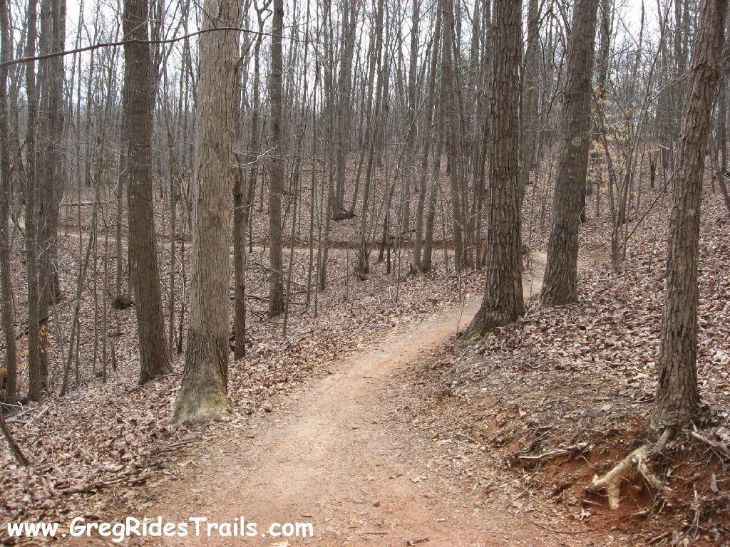 A winding trail through a sparse, leaf-covered forest with bare trees, indicating early spring or late autumn. The dirt path curves gently and is surrounded by a mix of bare branches and patches of dry leaves on the ground. Chicopee Woods mountain bike trail.