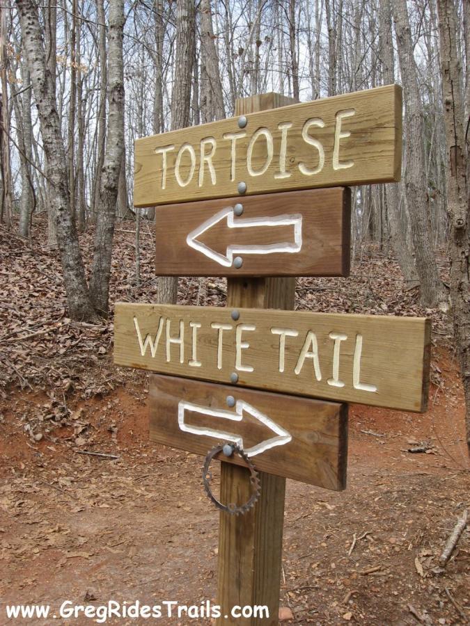 Two wooden directional signs in a forested area, one pointing left labeled "TORTOISE" and the other pointing right labeled "WHITE TAIL." The background features bare trees and fallen leaves. Chicopee Woods mountain bike trail.