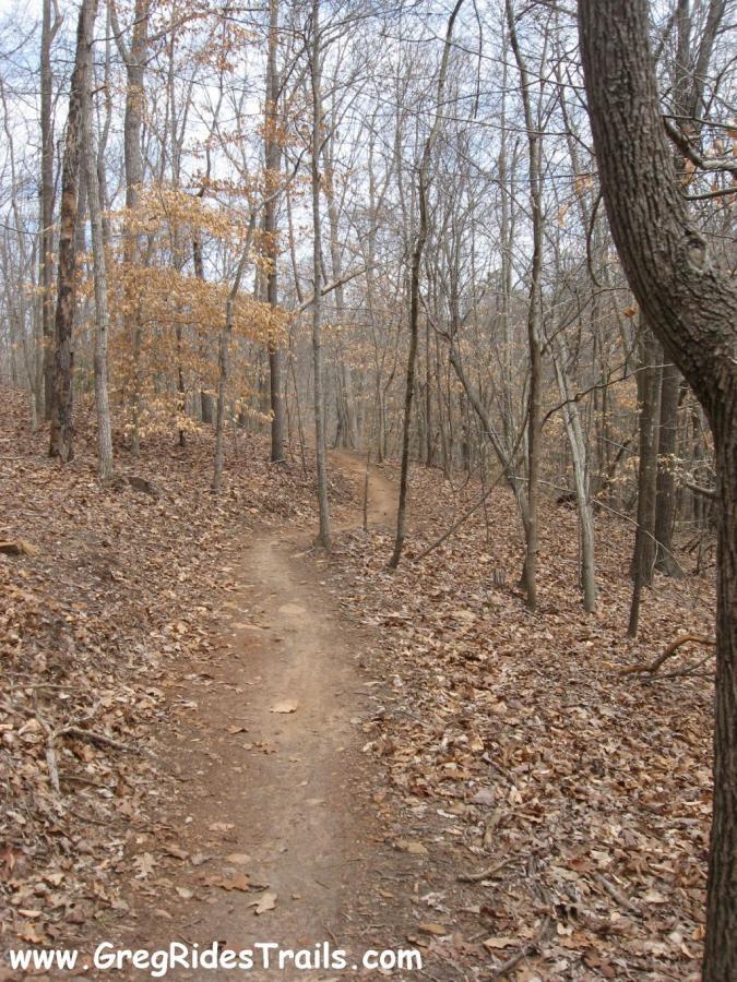 A winding dirt trail surrounded by bare trees and scattered autumn leaves, leading deeper into a wooded area on a cloudy day. Chicopee Woods mountain bike trail.