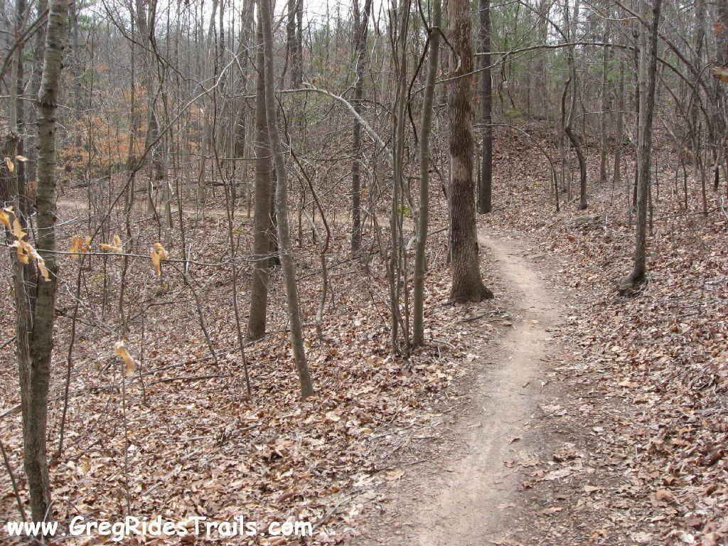 A dirt trail winding through a wooded area during winter with scattered leaves on the ground and bare trees in the background. Chicopee Woods mountain bike trail.