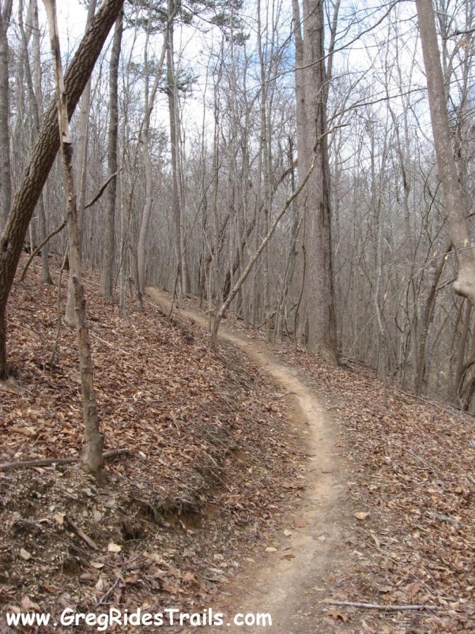 A winding dirt trail through a leaf-covered forest, surrounded by bare trees. The scene captures a serene and tranquil atmosphere, with a cloudy sky visible in the background, indicating early spring or late fall. Chicopee Woods mountain bike trail.