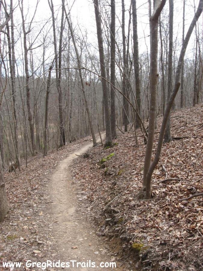 Winding dirt trail through a wooded area with bare trees and fallen leaves on the ground, indicating a late autumn or early spring setting. Chicopee Woods mountain bike trail.