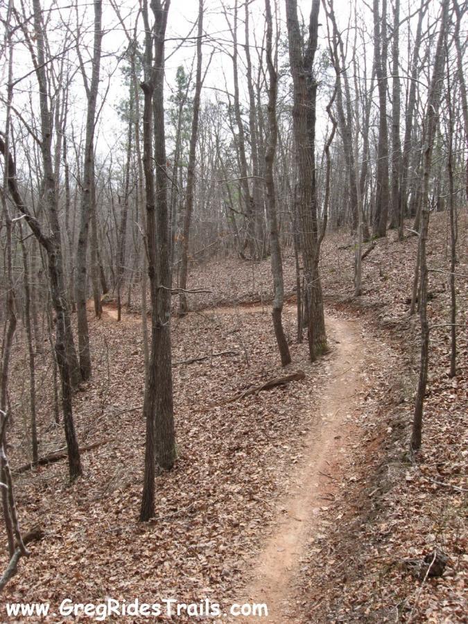 A winding dirt trail meanders through a wooded area with bare trees and fallen leaves, showcasing a tranquil, natural setting in the off-season. Chicopee Woods mountain bike trail.