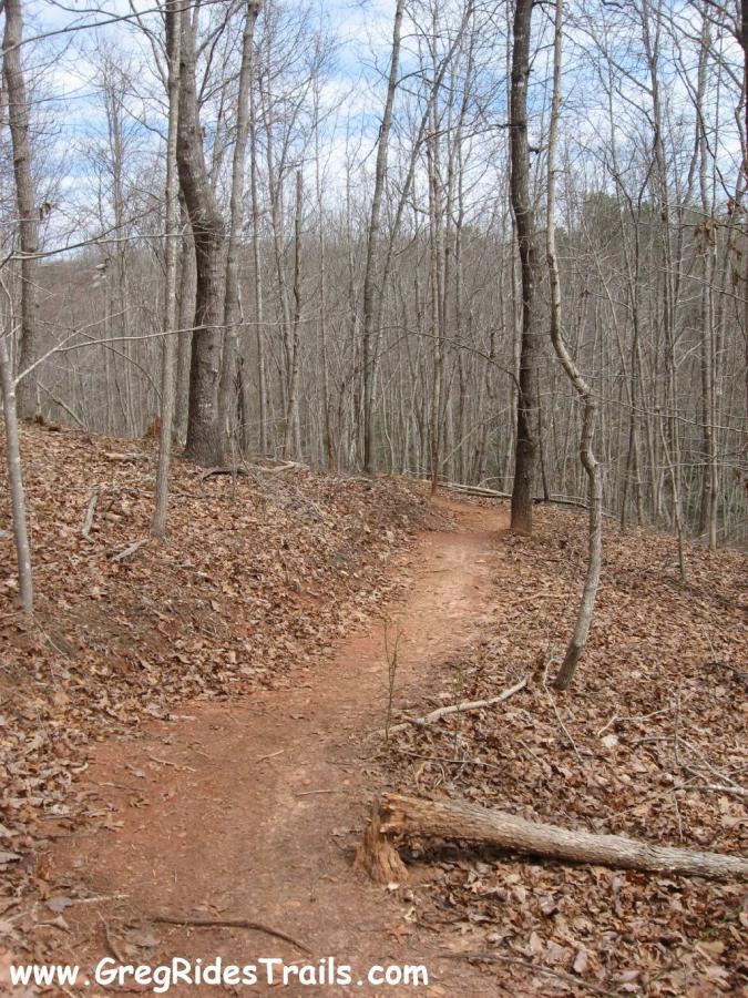 A winding dirt trail surrounded by bare trees and fallen leaves during early spring, with a partly cloudy sky above. Chicopee Woods mountain bike trail.