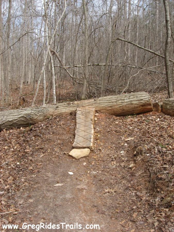 A dirt trail in a wooded area featuring a fallen log across the path, with a wooden plank crossing over it. Sparse trees and leafless branches surround the area, indicating a possibly early spring or late autumn setting. Chicopee Woods mountain bike trail.