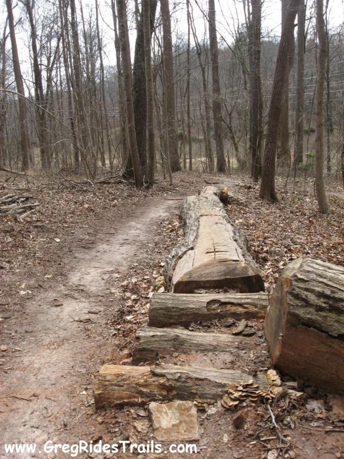 A dirt trail winding through a forest, with fallen logs on either side. A large, cut log lies across the trail, serving as a natural obstacle. Surrounding trees are bare, indicating early spring or late fall, with scattered leaves along the ground. Chicopee Woods mountain bike trail.
