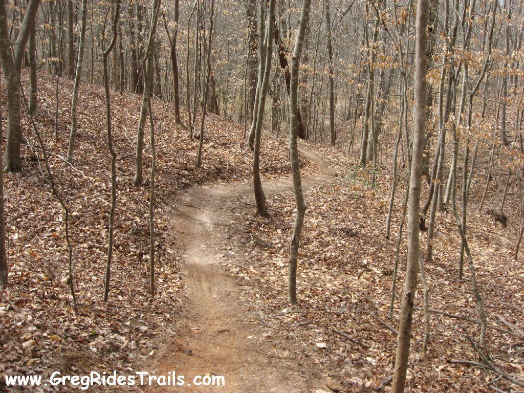 A winding dirt path through a wooded area with bare trees and scattered fallen leaves, suggesting a tranquil and serene outdoor environment during early spring or late autumn. Chicopee Woods mountain bike trail.