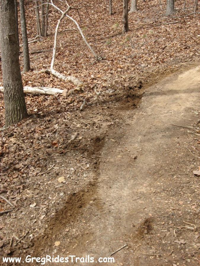 A dirt trail winding through a wooded area, surrounded by fallen leaves and tree trunks. The trail shows signs of wear, with a noticeable indentation on one side, indicating regular use by hikers or mountain bikers. Chicopee Woods mountain bike trail.