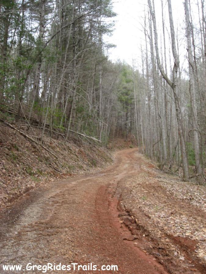 A winding dirt path through a forested area, flanked by tall trees with sparse leaves. The trail is slightly muddy and shows signs of recent rain. The image has a tranquil, natural feel, capturing the essence of an outdoor adventure. Montgomery Creek Trail mountain bike trail.