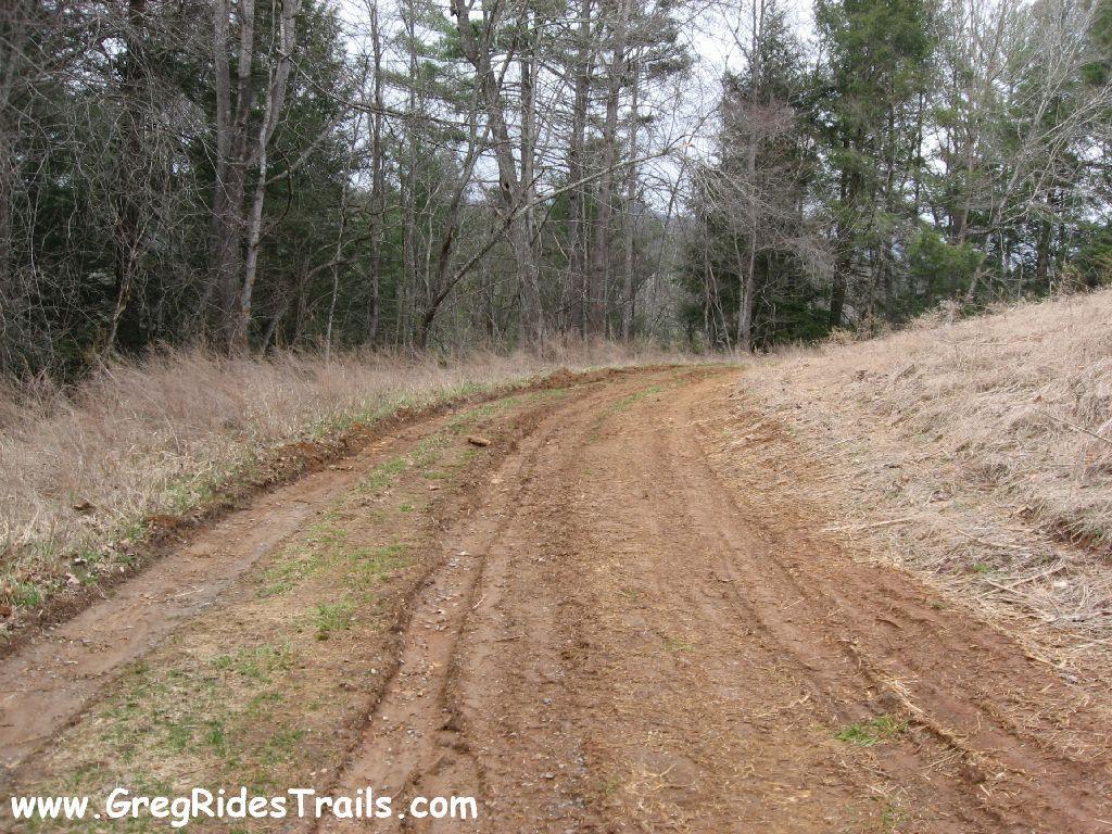 A dirt path winding through a wooded area with sparse vegetation on either side, flanked by tall trees. The ground is mostly bare with patches of grass and dirt, indicating a rural and natural setting, under a cloudy sky. Montgomery Creek Trail mountain bike trail.