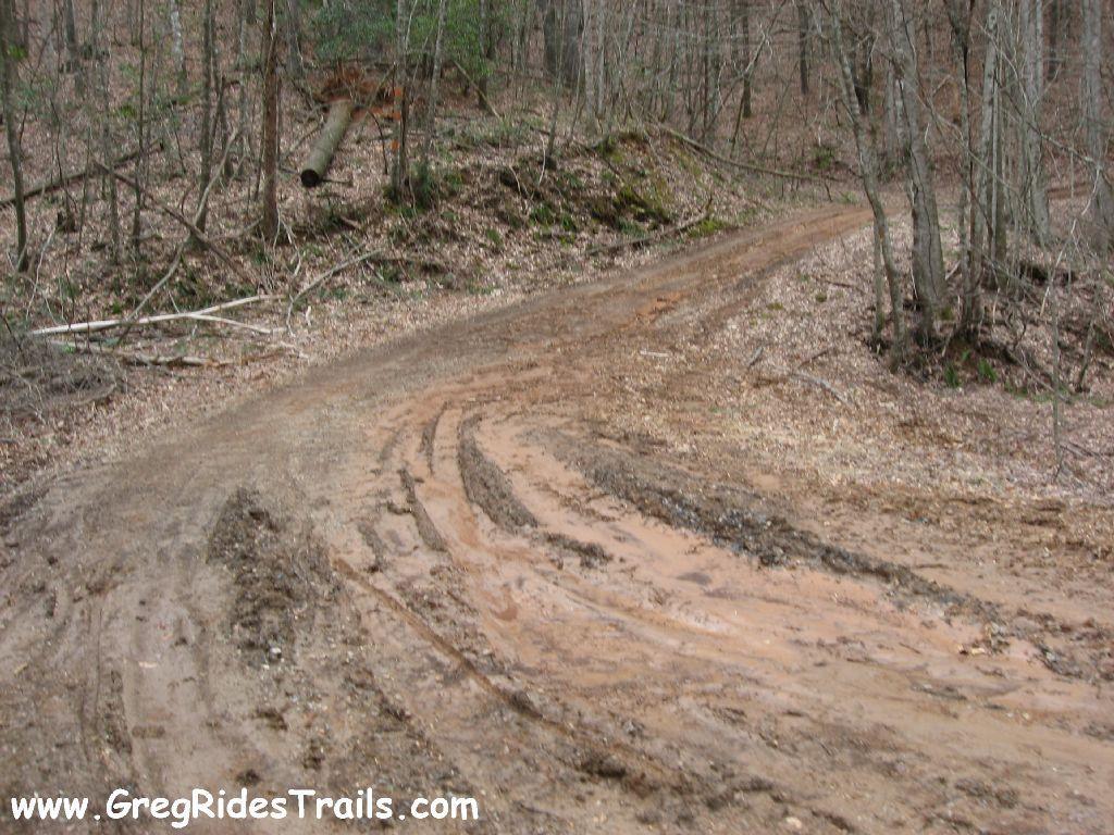 A muddy dirt trail winding through a forested area, with trees on either side and leaves covering the ground. Tire tracks are visible in the wet soil, indicating recent use of the trail. Montgomery Creek Trail mountain bike trail.