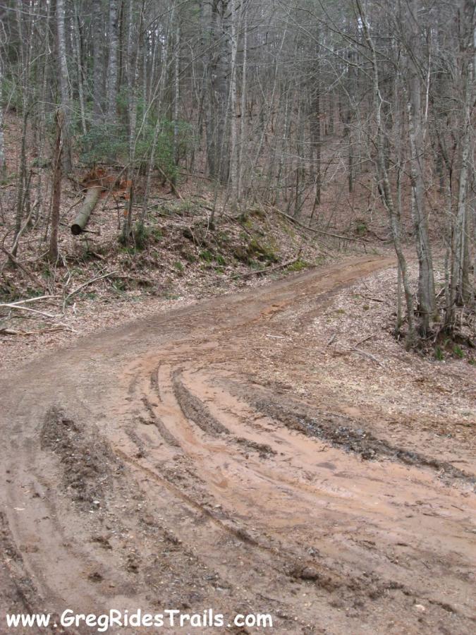 A winding dirt trail through a forest, surrounded by trees with bare branches and scattered leaves on the ground. The trail has visible tire tracks and some muddy areas, indicating recent moisture. Montgomery Creek Trail mountain bike trail.