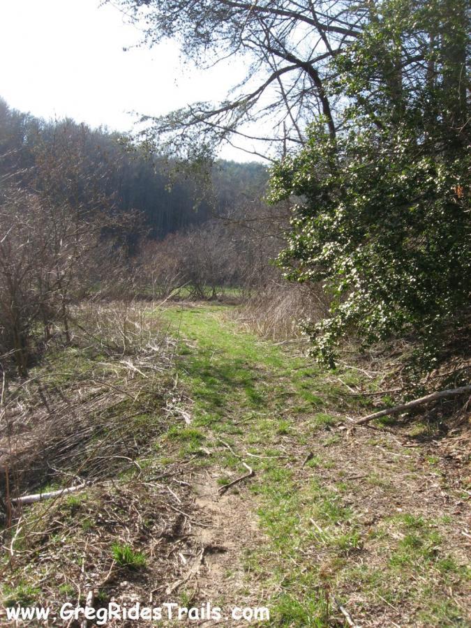 A sunlit pathway through a rural landscape, bordered by shrubs and trees. The trail is grassy and well-defined, leading into a wooded area in the background. The scene conveys a sense of tranquility and natural beauty. Canada Creek mountain bike trail.