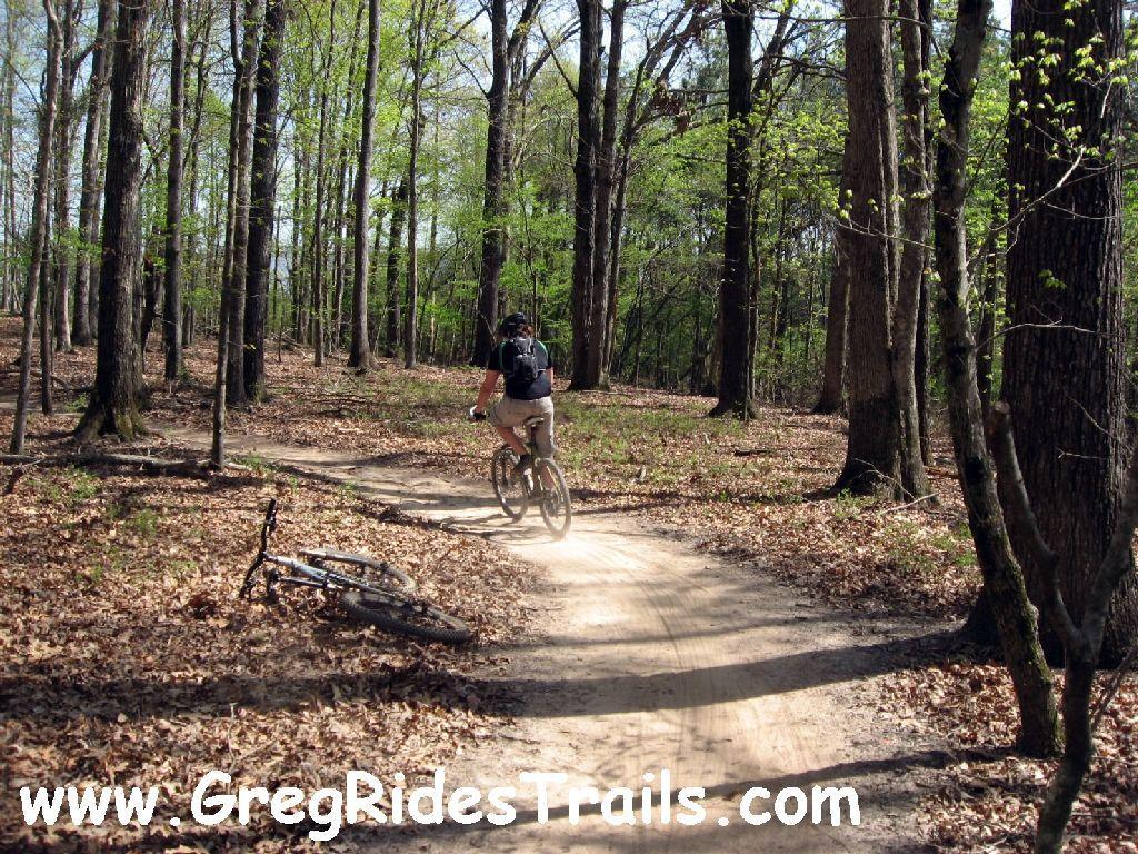 A person riding a mountain bike along a dirt trail in a wooded area, with trees and fresh green leaves in the background. A fallen bike is visible on the ground nearby. Gainesville College mountain bike trail.