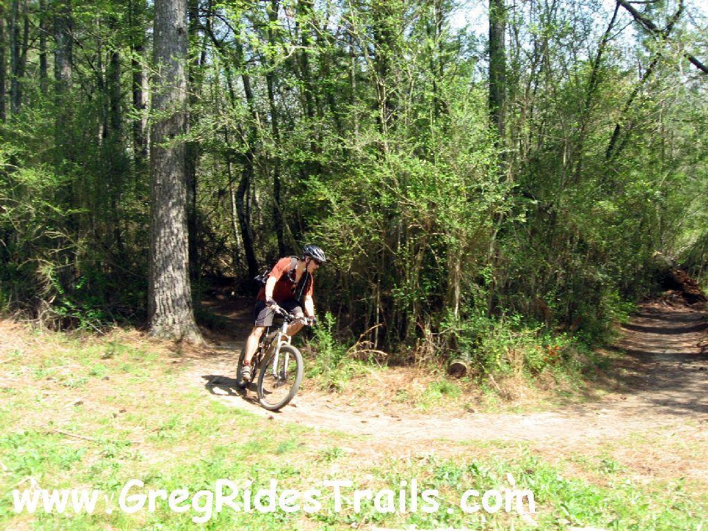 A mountain biker navigating a dirt trail surrounded by lush greenery and trees, with a fork in the path visible ahead. Gainesville College mountain bike trail.