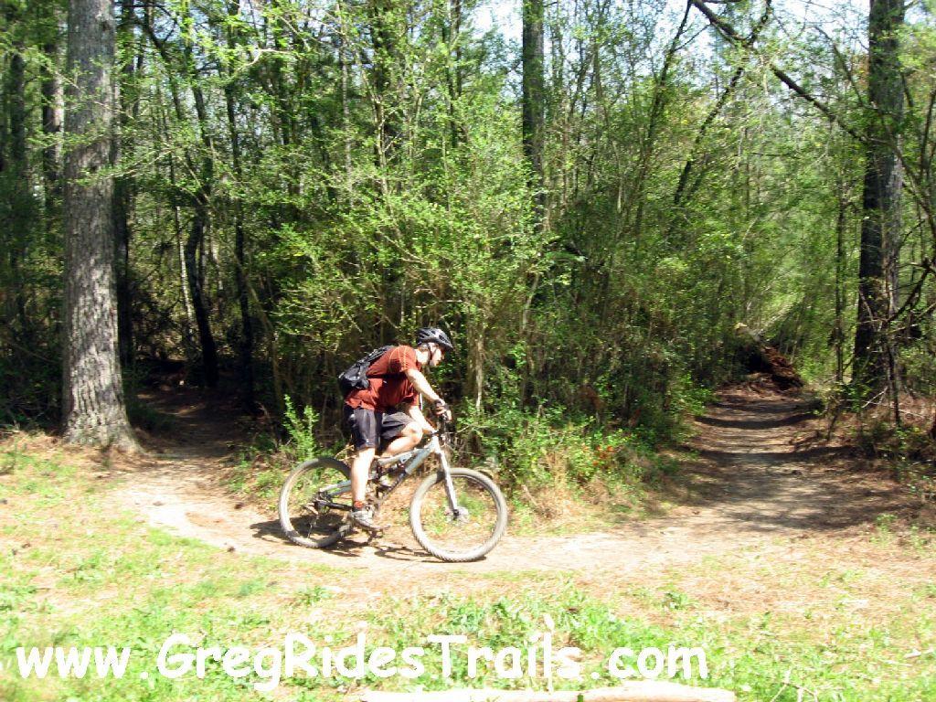 A mountain biker navigating a dirt trail through a wooded area, with trees and dense foliage surrounding him. The path forks, suggesting multiple routes available for exploration. The rider is wearing a helmet and casual athletic attire, focused on the trail ahead. Gainesville College mountain bike trail.