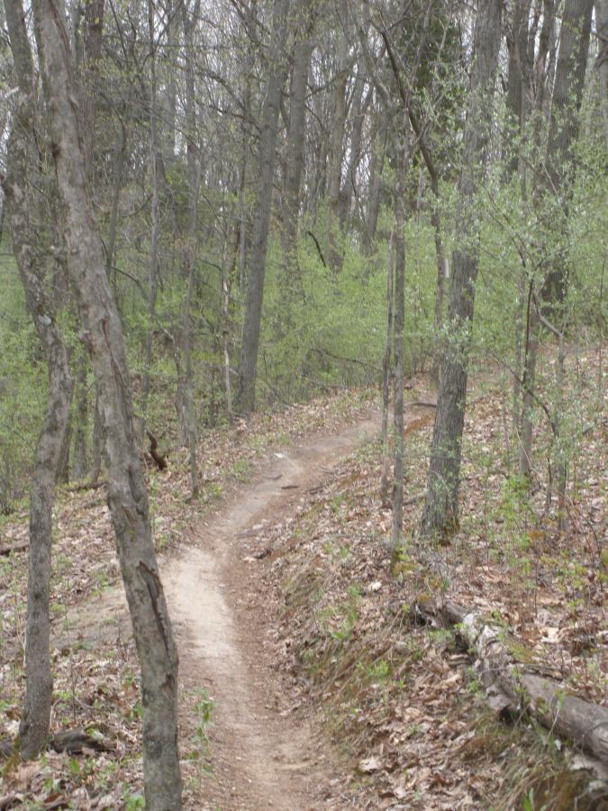 A winding dirt trail surrounded by trees in a wooded area, with fresh green leaves emerging in the spring. The ground is covered in fallen leaves, and the atmosphere appears calm and quiet. Yankee Springs mountain bike trail.