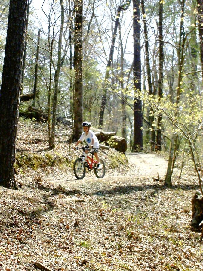 A child riding a bicycle on a dirt path through a forest, surrounded by tall trees and scattered leaves on the ground, under a clear sky. Harbison State Forest mountain bike trail.